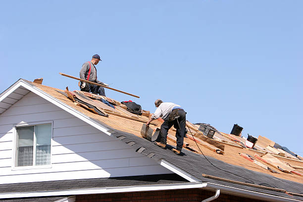Best Metal Roofing Installation  in Cullman, AL